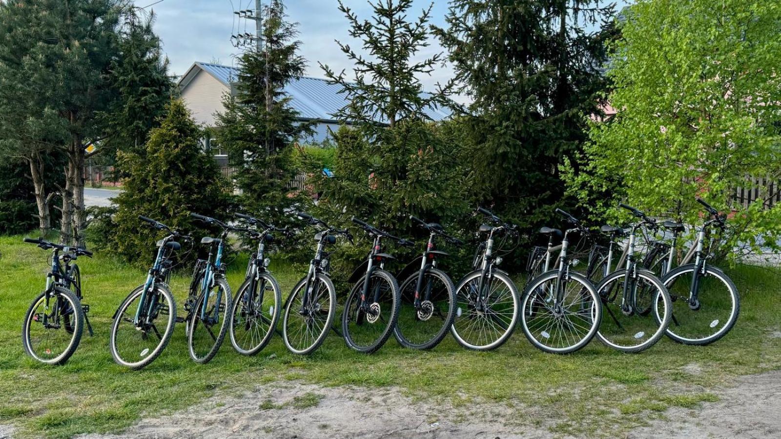 Domki Wypoczynkowe Las Śliwice Buitenkant foto